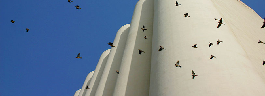 Rehabilitation of Silos at Beirut Port