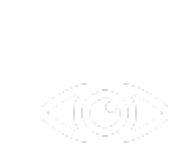 vision